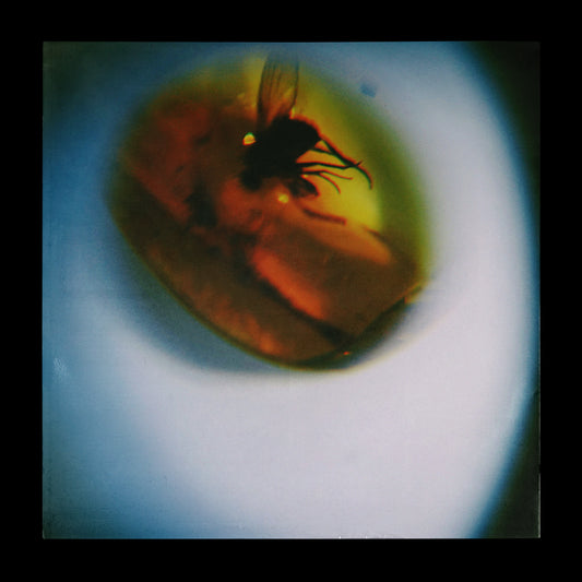 Traditional Noise Vinyl